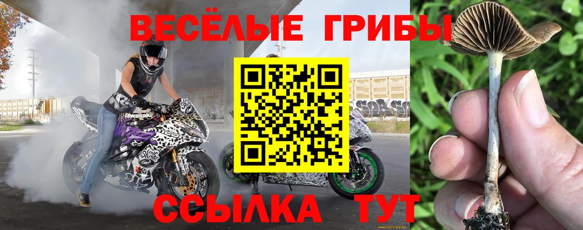 Псилоцибиновые грибы Magic Shrooms  что такое   Петропавловск-Камчатский  Вход с VPN 
